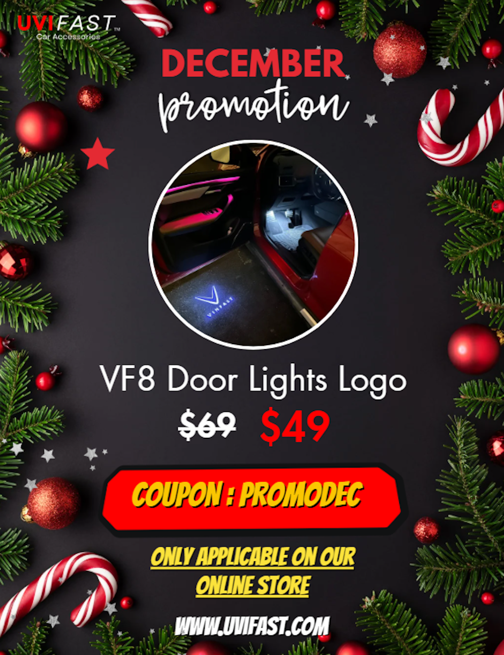 VINFAST VF8 - Door lights (4)